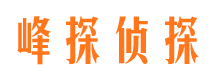 平顶山外遇调查取证